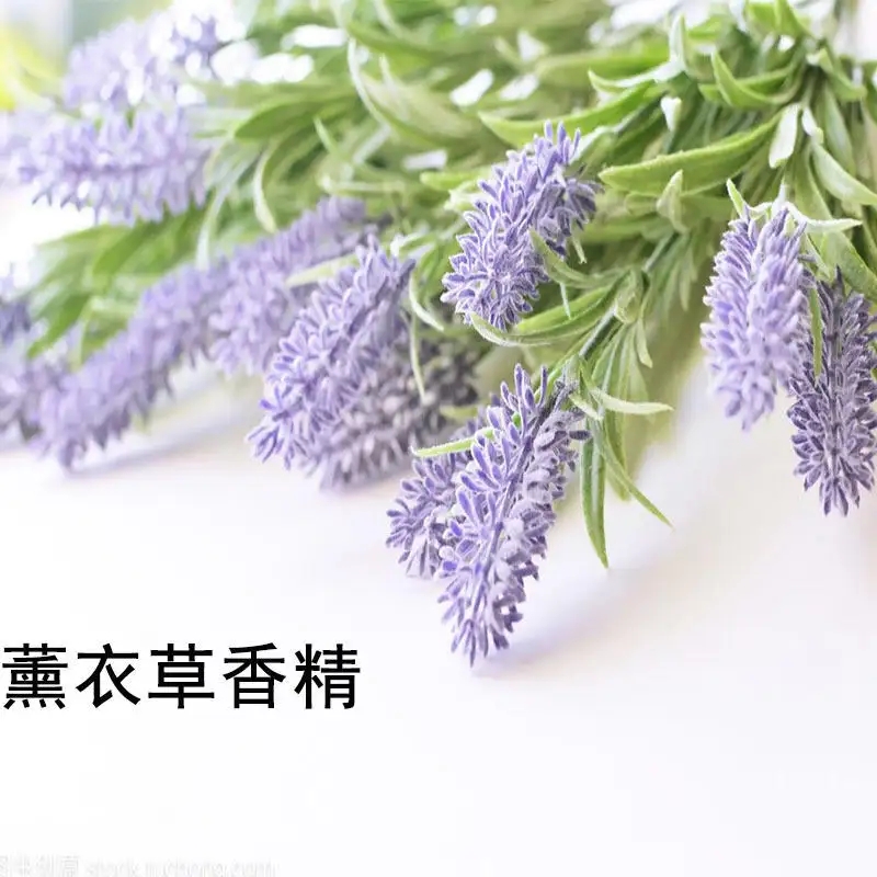 薰衣草洗衣液香精